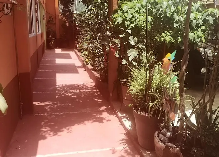Depa 2 Recamaras Coyoacán *